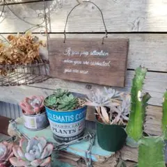 ジャンクガーデン ガーデニング