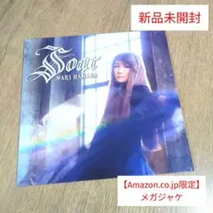 2025年最新】浜田麻里Soarの人気アイテム - メルカリ