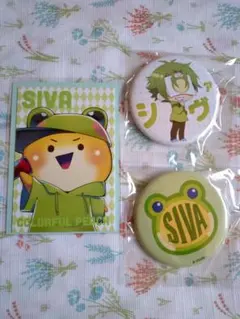 カラフルピーチ　シヴァ　缶バッジ＋トレカ