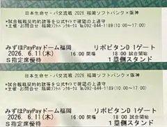 【通路側】6月11日ソフトバンクホークス×阪神タイガース S指定席ペアチケットのサムネイル