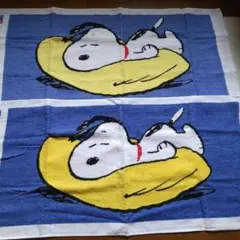 メアリーママ様 リクエスト 2点 まとめ商品