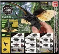 未開封！希少！いきもの大図鑑 かぶとむし01 レア含む全7種セット