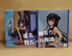 涼宮ハルヒの憂鬱 朝比奈みくる & 青春ブタ野郎 桜島麻衣 バニー