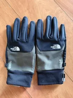 Item thumbnail for item 6b51a3dd-3039-4147-b837-6b5c24f70c5c