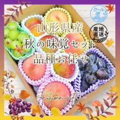 ⑥ ☆朝採れ本日発送☆ 青森県産【ひとりじめ小玉スイカ】 6玉入り