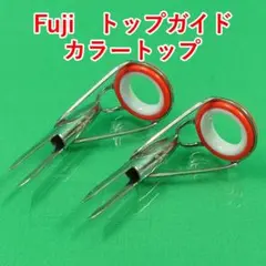 Fuji　トップガイド　カラートップ　16-5.5　　　#4493のサムネイル