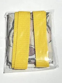 ディズニーストア　シークレットミニトート（チップ＆デール）