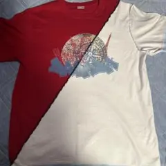 日向坂46 DASADA オリジナル バイカラーTシャツ レッド 赤 日向坂46 DASADA オリジナル バイカラーTシャツ レッド 赤 日