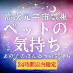 ミルキー様 リクエスト 2点 まとめ商品