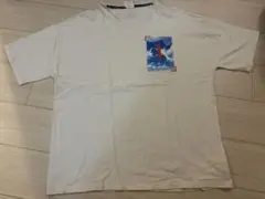 Calvin Klein カルバンクラインTシャツ XL