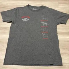 アニマルペイント入りTシャツのサムネイル