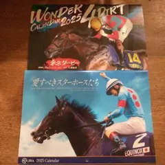 【新品未使用】JRA 南関東4競馬場　東京ダービー　2025 カレンダー