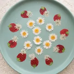 ようよう様 リクエスト 3点 まとめ商品