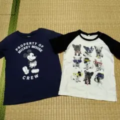 キッズ半袖　Tシャツ　２枚セット　120