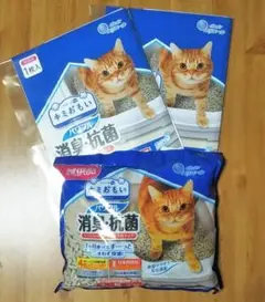 Item thumbnail for item d1f9da92-a675-4104-bb16-0641ebbb90c2