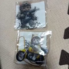 Item thumbnail for item 213ce786-0c25-496e-8f6d-3b04451edab5