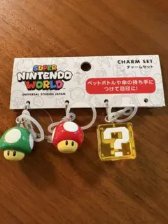 ニンテンドーワールド チャームセット