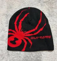 2025年最新】supreme spyder ビーニーの人気アイテム - メルカリ