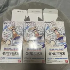 空箱　ワンピースカード　新時代の主役　3BOX分