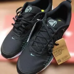 新品未使用品 NIKE エアマックス NUAXIS 30.0cm