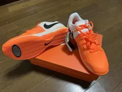 ナイキ テニスシューズ