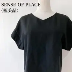 【極美品】　センスオブプレイス　フレンチスリーブVネックカットソーブラック