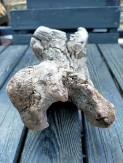 Item thumbnail for item 7ead99ca-5987-4ac3-8e08-dd9ddd58177f