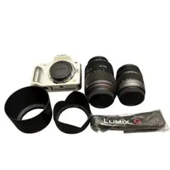 DMC-G3本体　レンズH-FS045200 H-FS014042 Amazon.co.jp: パナソニック 望遠ズームレンズ マイクロフォーサーズ用