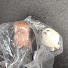 虚無。伍　ガチャ　オオサンショウウオ　子あざらし