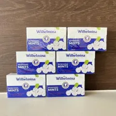 2025年最新】ウイルヘルミナの人気アイテム - メルカリ