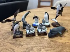 動物フィギュアセット 海洋生物