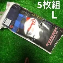 ② L メンズ Hanes ヘインズ ボクサーパンツ 前開き 5枚組