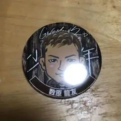 数原龍友 缶バッチ