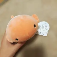 marshmallow aquamie ぬいぐるみ クマノミ 水族館