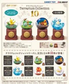 ポケットモンスター　テラリウムコレクション10 6種コンプリート