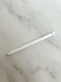 Apple Pencil USB-C MUWA3ZA/A タッチペン 動作確認済