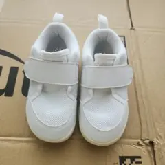 Item thumbnail for item 8eedd220-05bc-4933-b835-df8144df9f26