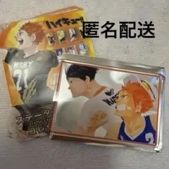 ハイキューステータスカードコレクション シークレット 日向 影山