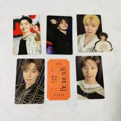 SEVENTEENディノまとめ売り