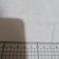 Item thumbnail for item 9ea37fc7-ddfa-4944-b2ed-f529fb35921a