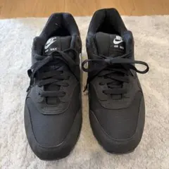 Nike Air Max スニーカー US 10