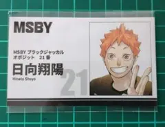 ハイキュー!! ファンパーク 名刺カード 日向翔陽