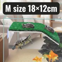 Item thumbnail for item 4ae8043b-c1e7-4933-a094-6b85649c02c8