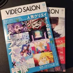 VIDEO SALON 2冊セット
