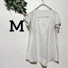 Item thumbnail for item 1e9c53a2-bb7d-4478-9d96-8eed54bdad24