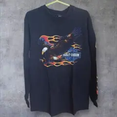 90s ハーレーダビッドソン イーグル フレイム USA製