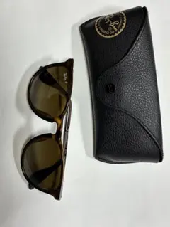 Ray-Ban ブラウン サングラス ケース付き