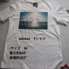 Item thumbnail for item c0b0441e-c854-4187-8b46-ca9f6b9866d7