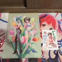 ハヤテのごとく! 完全版 26巻ゲーマーズ特典 A4クリアファイル
