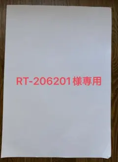 RT-206201様専用